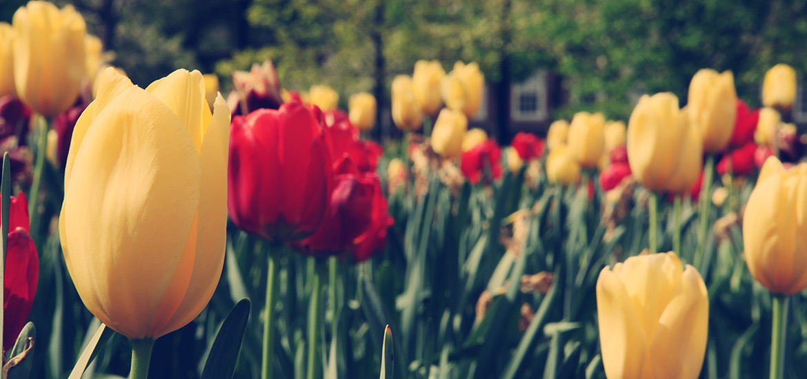 自动化运维的平台在线ddos压力测试